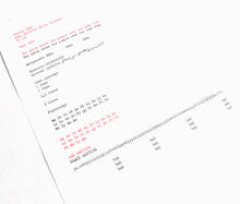 Load image into Gallery viewer, Restored Hermes 3000 Typewriter - Director Elite